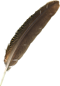 Feather200x285