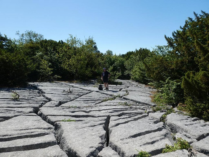 Arnside2018 4 StandingOnTheLimestonePavement