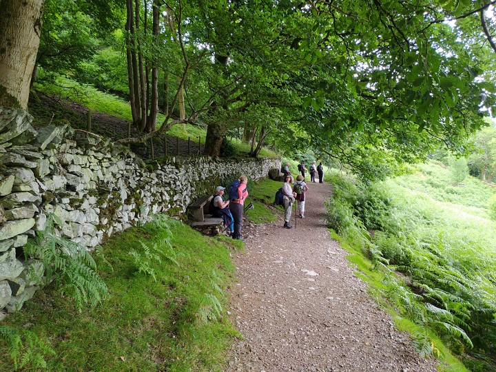 Arnside2023 8 WalkingNearRydalWater