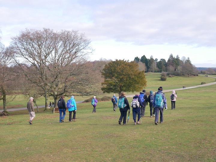 Chilworth2018 4 BoltonsBench