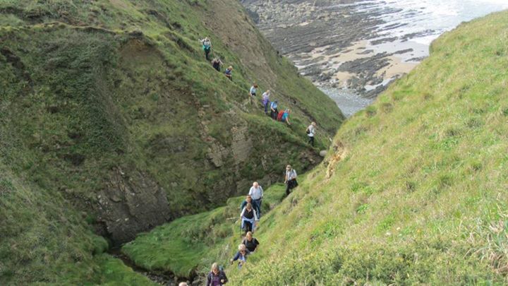 Devon2015 CoastalWalk