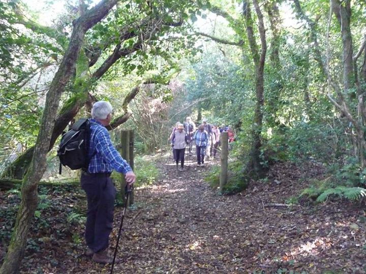 Devon2015 WoodlandWalk