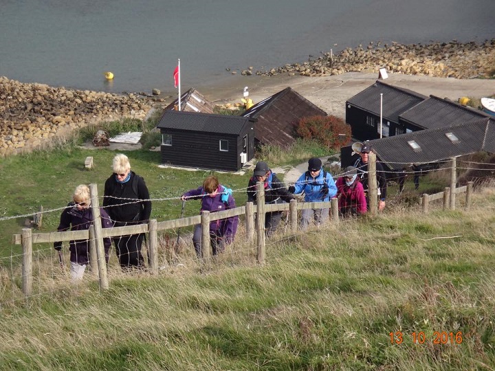 Dorset2016 AccentFromThe Beach