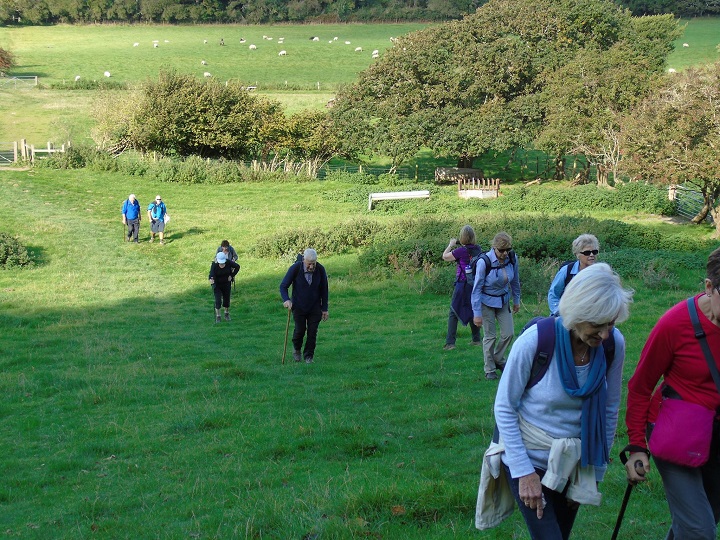 Dorset2016 AcrossFields