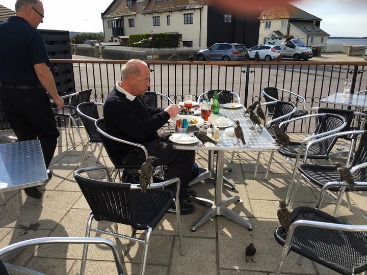 Dorset2016 BirdmanOfMudeford