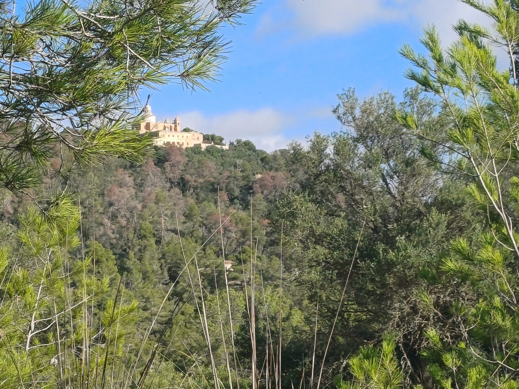 Majorca2024 5 ViewOf Manastery