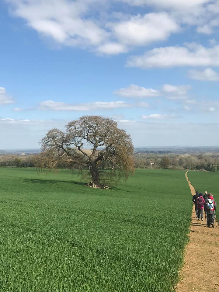 Malvern2019 5 WalkingOpenFields