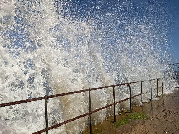 Norfolk2022 10 AnyoneForASwim