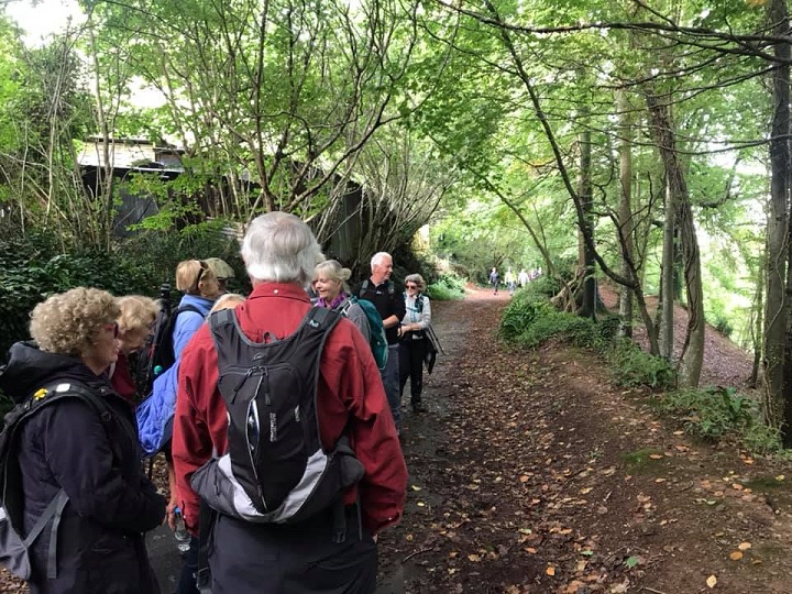 Paignton2019 3 AroundTotnes
