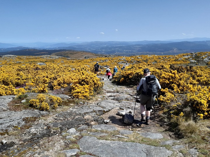 Portugal2022 5 DownhillThroughGorse