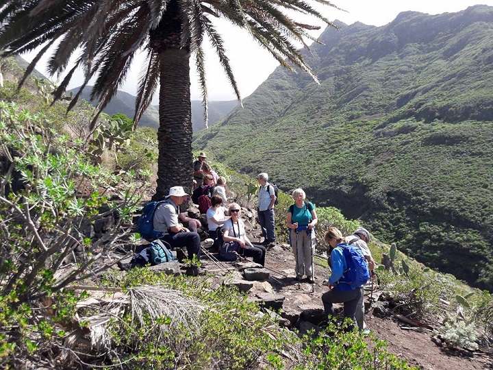 Tenerife2018 6 LunchStopTenoMts